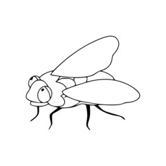 Fly linear icon. Flying insect with wings Vector black and white illustration isolated on white background