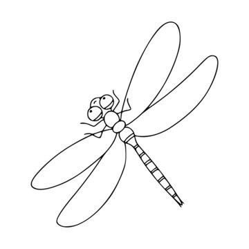 recommend clip art: Insect dragonfly linear icon. Vector black and white illustration isolated on white background