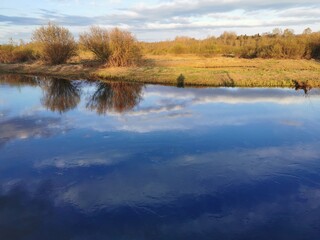 spring road through the field to the river
