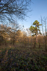 changes in nature during the autumn season