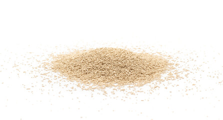 Dry and Raw Compressed Baking Yeast