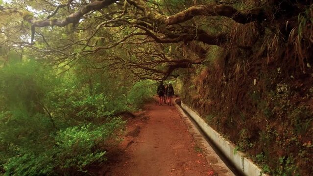 Hikers Walking On Narrow Walkway Of Levada do Risco Hiking Route In Portugal. handheld, POV