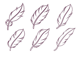 set of hand drawn feather illustration