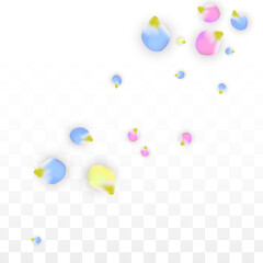 Vector Realistic Colorful Petals Falling on Transparent Background.  Spring Romantic Flowers Illustration. Flying Petals. Sakura Spa Design. Blossom Confetti. Design Elements for Wedding Decoration.