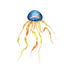 Watercolor tropical jellyfish .Underwater world of the sea or ocean.