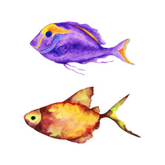 Watercolor tropical fish.Underwater world of the sea or ocean.