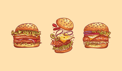 Burger Illustration Vector