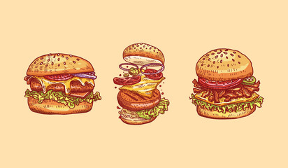 Burger Illustration Vector