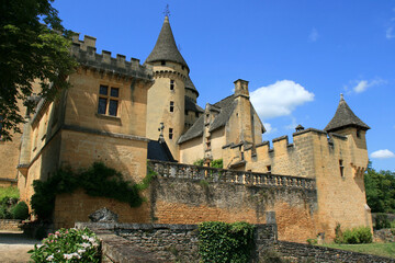 Fototapeta na wymiar medieval castle in marquay (france) 