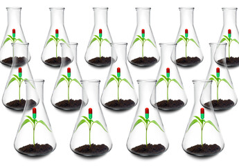 Botanical research for new medications, conceptual image