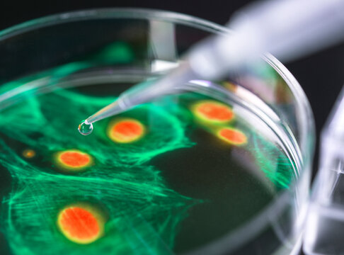 Cell research, composite image