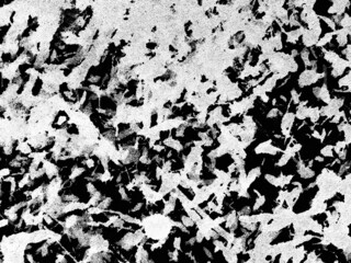 Fototapeta premium patterns Abstract grunge texture or background wall. white paint pattern over black.