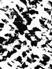 Fototapeta na wymiar patterns Abstract grunge texture or background wall. white paint pattern over black.