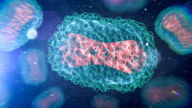 Monkeypox virus, illustration