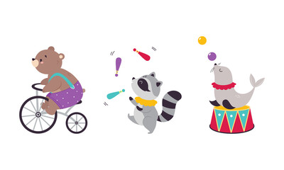 Obraz na płótnie Canvas Circus Bear and Raccoon Animal Cycling and Juggling Performing Trick Vector Illustration Set