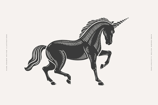 Unicorn in linocut style. Black and white image of a mythical character. Vector illustration of a mythological horse.
