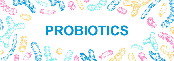 Hand drawn probiotics design for packaging and branding. Vector illustration in sketch style. Microscopic bacteria close-up. Biology background