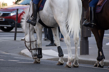 Garde républicaine à cheval patrouillant dans les rues de Paris - obrazy, fototapety, plakaty