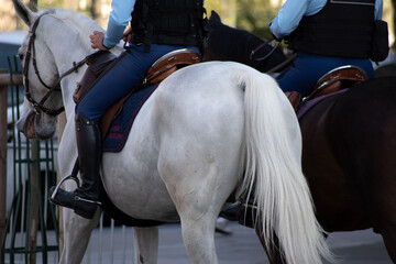 Garde républicaine à cheval patrouillant dans les rues de Paris