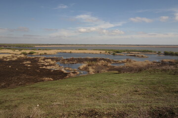 burned Danube Delta in spring in Parches, Tulcea, Romania