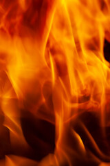 a fire made of logs with a bright flame at a camping while cooking