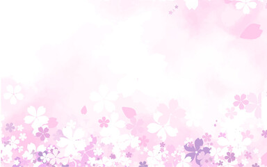 Fototapeta na wymiar Sakura background. Cherry blossoms vector. Spring background. Sakura flowers vector