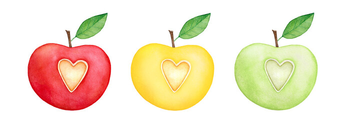 Watercolor drawing collection of different colorful apples with cute leaves and love hearts inside: red, yellow and green. Hand painted elements on white background for design, frame, border, sticker. - 506591603