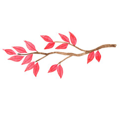 bunch of red leaves watercolor illustration for decoration on Autumn seasonal and Thanksgiving