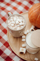 Cocoa with marshmallow on wooden tray. Having wonderful time, drinking hot cocoa