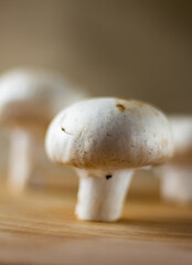 
Whole raw fresh white champignon mushrooms