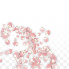Pink Vector Realistic Petals Falling on Transparent Background. Spring Romantic Flowers Illustration. Flying Petals. Sakura Spa Design. Blossom Confetti. Design Elements for Wedding Decoration.