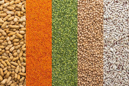 Different types of legumes, chickpeas and lentils and peanuts, white beans and green peas , top view