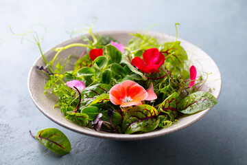Green salad leaves, sprouts with edible flowers in bowl. Grey background. Close up.