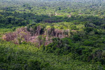 Deforestation of the Amazon rainforest. Patch of forest burnt to the ground. Environment, ecology, climate concepts.