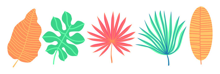Set of tropical leaves. Vector cartoon rainforest leaves isolated on white background. Brazil jungle flora in flat style. Banana leaf, palm, fern, monstera, and other. Tropic plants