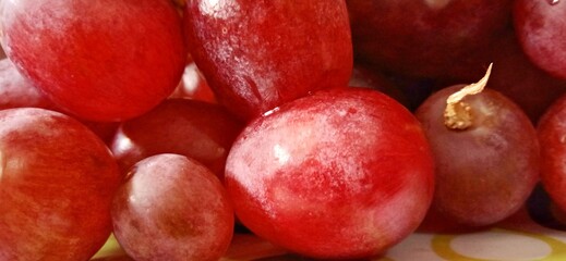 Freshly red grapes fruit in the dim background. Vitis vinifera family.