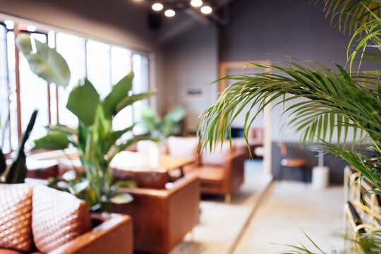 Empty abstract blurred bokeh background of modern cafe or restaurant with potted green plants can be used for display products. Mock up with copy space