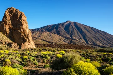 Foto op Canvas Vistas del Teide desde los Roques de García, en el Parque Nacional del Teide, Tenerife, Islas Canarias, España © inigolaitxu