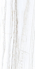 Luxury of white and black lines marble texture. high resolution by DIVA CARRARA