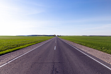 Fototapeta premium an asphalt road along which green plants