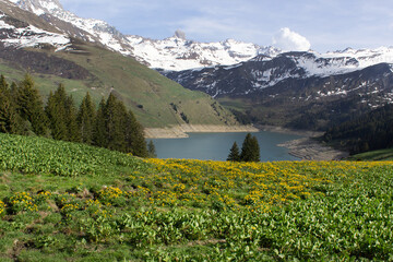 Fototapeta premium Mountain peak panoramic view on green grass alpine valley with water of lac Roselend Haute Savoie region France