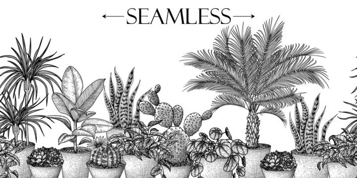 Seamless horizontal pattern of houseplants in engraving style. Graphic linear dracaena, lobivia cactus, sansevieria, ficus, scindapsus, prickly pear cactus, succulents, pilea, indoor palm