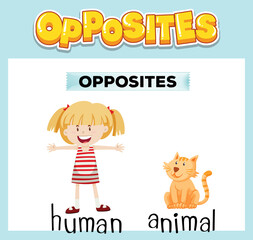 Opposite English words for kids