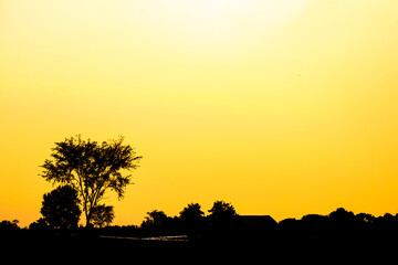 A Minto Area Farm in Silhouette of a Late Afternoon, Midsummer Golden Hour in Wellington County