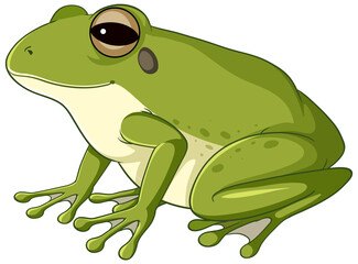 A green frog on white background - obrazy, fototapety, plakaty
