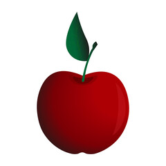apple in vector. apple drawing in vector. fruits in vector. vector drawings. apple drawing. beautiful apple.