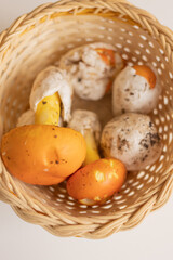 Food. Caesar's mushrooms