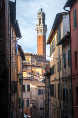 views of mangia tower in siena, italy