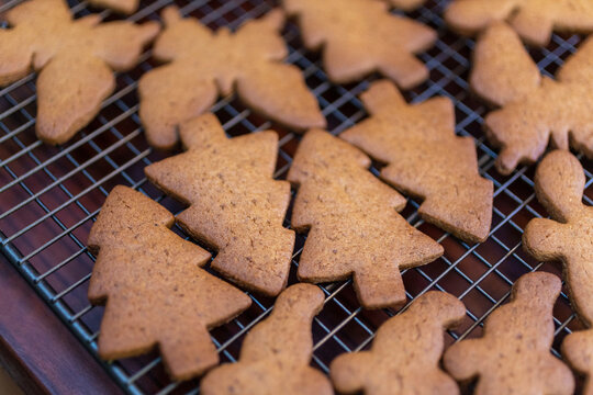 Close up baked Christmas tree gingerbread cookies cooling on rack
