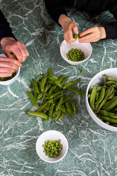 View from above mother and son shelling fresh green peas
